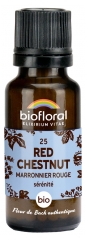 Biofloral Granules 25 Red Chestnut - Marronnier Rouge Bio 19,5 g