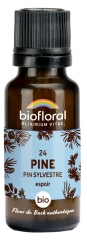 Biofloral Granuli 24 Pino - Pino Silvestre Bio 19,5 g