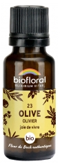 Biofloral Granules 23 Olive - Olivier Bio 19,5 g