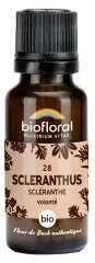 Biofloral Granulat 28 Scleranthus - Ekologisk Scl&eacute;ranthe 19,5 g