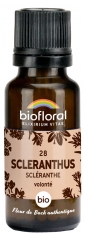 Biofloral Granules 28 Scleranthus - Scléranthe Bio 19,5 g