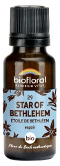 Biofloral Granules 29 Star of Bethlehem - Étoile de Bethléem Bio 19,5 g