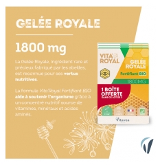 Gelée Royale Bio 1500 mg - Vitaflor - Un excellent concentré nutritif