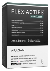 Aragan Synactifs FlexActifs 60 Gélules