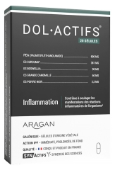 Aragan Synactifs DolActifs 20 Capsule