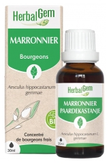 HerbalGem Ka&scaron;tan Koňsk&yacute; Bio 30 ml