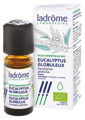 Ladr&ocirc;me Eucalyptus Globulus Etherische Olie Biologisch 10 ml