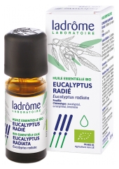Ladrôme Olio Essenziale di Eucalipto Radiante (Eucalyptus Radiata) Biologico 10 ml