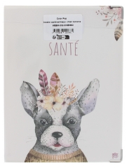Color Pop Estuche de Folletos de Salud Para Mascotas