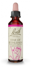Fleurs de Bach Original Star of Bethlehem 20 ml