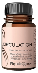 Phytalessence Circulaci&oacute;n 60 C&aacute;psulas