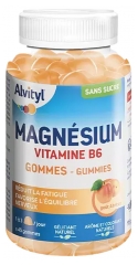 Alvityl Magnésium Vitamine B6 Abricot 45 Gummies