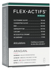 Aragan Synactifs FlexAktives 60 Kapseln
