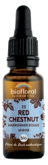 Biofloral Bach Blommor 25 Red Chestnut Bio 20 ml