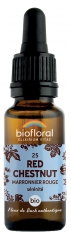 Biofloral Bach Flowers 25 Red Chestnut Organic 20ml