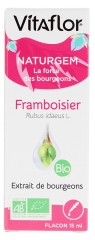 Vitaflor Naturgem Framboisier Bio 15 ml