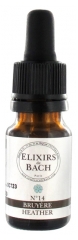 Elixirs & Co Bachblüten-Elixier Nr. 14 Heidekraut 10 ml
