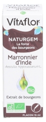 Vitaflor Extrait de Bourgeons Marronnier d'Inde Bio 15 ml