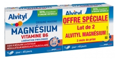 Magnésium Vitamine B6 Lot de 2 x 45 Comprimés