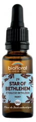 Biofloral Bach Bloesemremedies 29 Star of Bethlehem Organic 20 ml