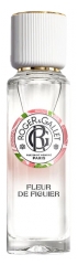 Roger & Gallet Roger & Gallet Dobroczynna Woda Perfumowana 30 ml