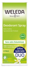 Déodorant Spray au Citrus Lot de 2 x 100 ml