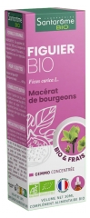 Santarome Bio Fig Tree 30 ml