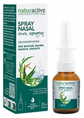 Naturactive Ēterisko Eļļu Deguna Aerosols 20 ml