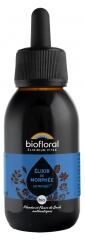 Biofloral Elix&iacute;r Morpheus Sp&aacute;nek Bio 100 ml