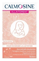 Calmosine Allaitement 14 Dosettes