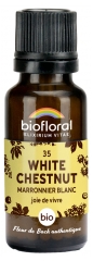 Biofloral Rimedi Floreali di Bach 35 White Chestnut Biologico 19,5 g