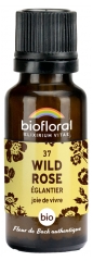 Biofloral Fiori di Bach 37 Wild Rose Biologico 19,5 g