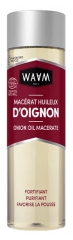 Waam Onion Oily Macerate 75 ml