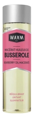 Macerado Untuoso de Gayuba 75 ml