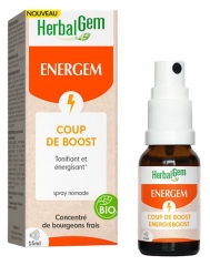HerbalGem Energem Boost &Oslash;kologisk 15 ml
