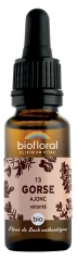 Biofloral Bach Flower Remedies 13 Gorse Organic 20 ml