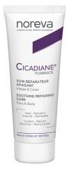 Noreva Cicadiane Reparierende Beruhigende Pflege 40 ml