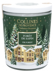 Collines de Provence Bougie de Noël Forêt de Sapin 360 g