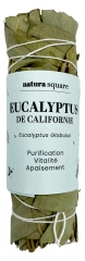 Natura Square Eucalyptus Fagot de Fumigation