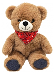 Plic Care Teddy Bear Warm/Cold Plush