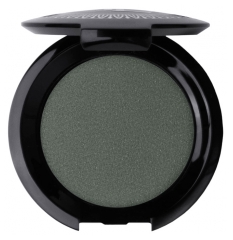 T.Leclerc Iridescent Eyeshadow 2.5 g