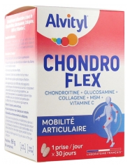 Alvityl Chondro Flex 60 Comprimés