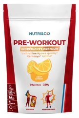 Nutri&amp;Co Pre-Workout Citrona Gar&scaron;a 220 g