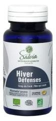 Salvia Nutrition Alternativ'Aroma Hiver Défenses Bio 120 Capsules