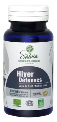 Alternativ'Aroma Hiver Défenses Bio 40 Capsules