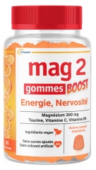 Mag 2 Boost Énergie et Nervosité 45 Gommes