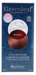 Greenleaf 100% Colore per Capelli Organico 100 g