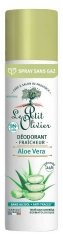 Le Petit Olivier Déodorant Fraîcheur Aloe Vera 75 ml