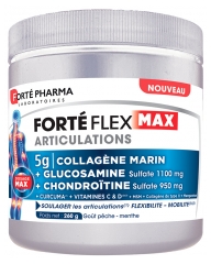 Forté Pharma Forté Flex Max Articulations 260 g