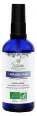 Salvia Nutrition Vera Lavanda Biologica 100 ml